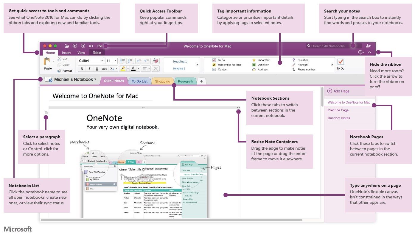 Install onenote for mac
